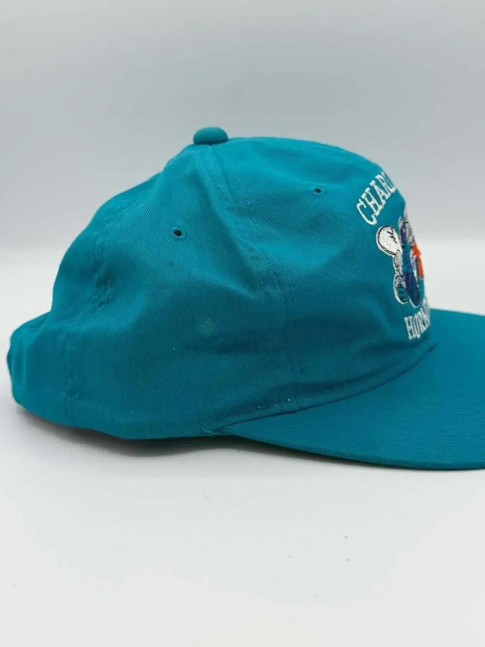 Vintage Charlotte Hornets Snapback Hat The Game G Cap NBA Hugo Logo Teal 90s